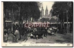 Old Postcard Caen Park Place one day Frequently Cows TOP