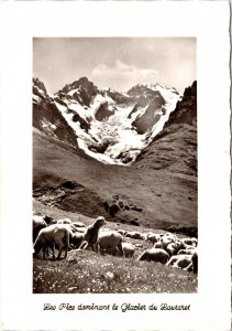 RPPC Sheep Grazing in Pico Mountains Lautaret Glacier France Real Photo Postcard