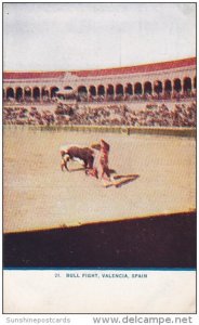 Bull Fight Valencia Spain