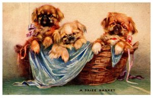 Dog  , A Prize basket