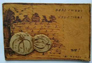 Vintage Halloween Leather Postcard Pumpkin Patch Saint Marys 1906 Original Rare