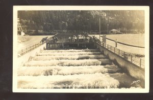 RPPC BONNEVILLE DAM OREGON FISH LADDER VINTAGE REAL PHOTO POSTCARD