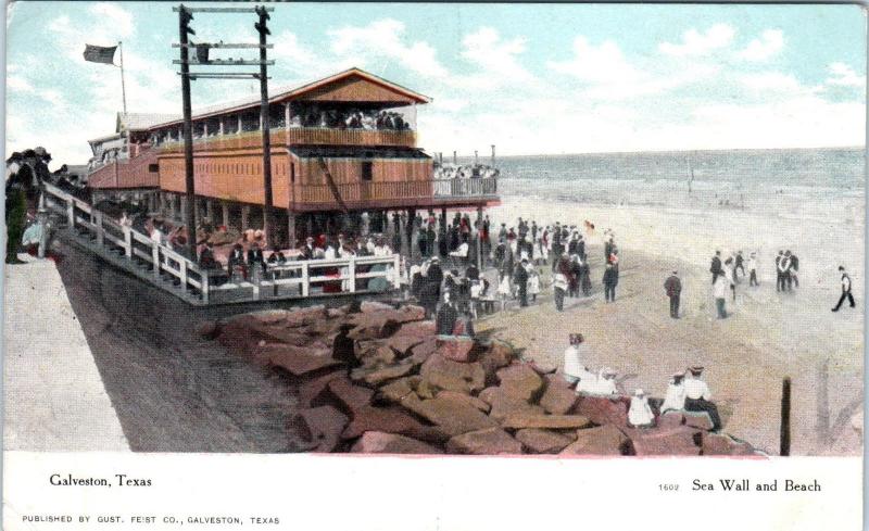 GALVESTON, TX Texas     SEA WALL & BEACH     c1910s      Postcard