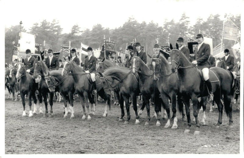 Horse Sports - Hippique Group Horses Real Photo Postcard 03.91