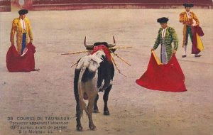 Bull Fight Course De Taureaux Toreador appelant l'attention du Taureau a...