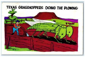 1966 Texas Exaggerated Grasshoppers Doing The Plowing El Paso Texas TX Postcard