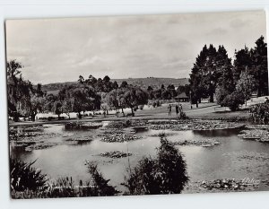 Postcard Rhodes Park Johannesburg South Africa