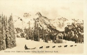 RPPC Postcard Alaska Sled Dog Team in Paradise Valley, Rainier National Park WA