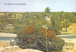 Jericho Hill, Tel Al Sultan Bethlehem Unused 
