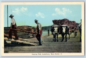 1940 Lunenburg Nova Scotia Canada Vintage Postcard Hauling Fish Cow Carriage