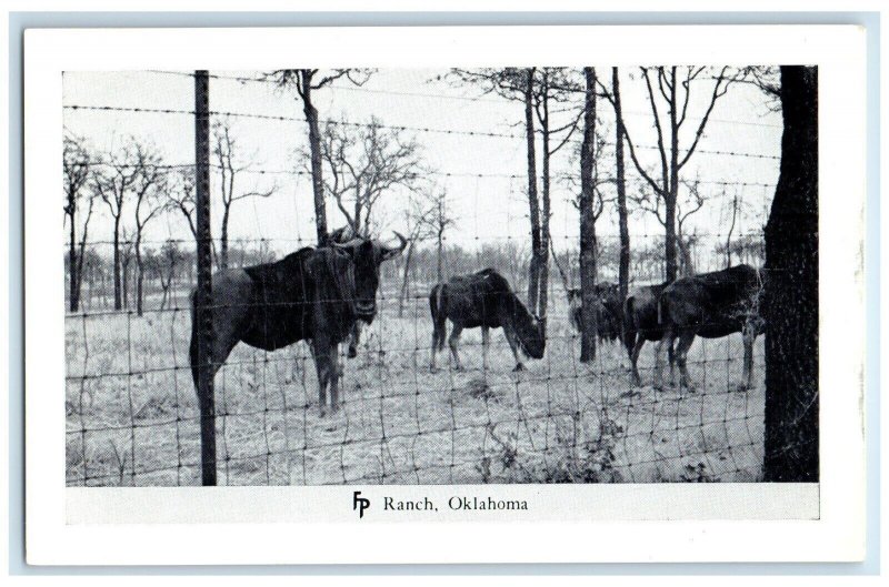 c1950's  Bison Bulls Frank Philips Ranch Woolaroc Oklahoma OK Vintage Postcard