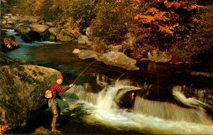 Canada Quebec Saguenay The Old Fishing Spot