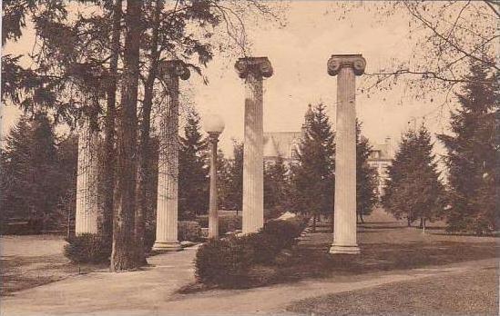 Washington Seattle Hisoric Columns University Of Washington Albertype