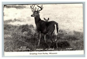 RPPC of Peek-A-Boo, Greetings from Hurley WI c1949 L.L. Cook 1945 Postcard I2