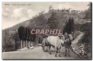 Italia - Italy - Italy - Assisi - Veduta del Castello North - Cow - cow - Old...