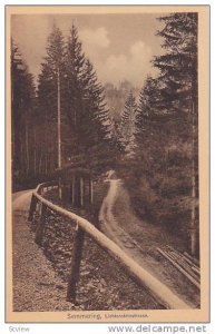 View (Dirt), Lichtensteinstrasse, Semmering, Austria, 1900-1910s