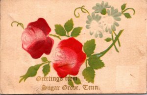 Tennessee Sugar Grove Greetings With Roses 1914