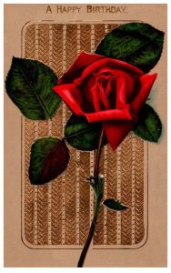 Happy Birthday  single red rose
