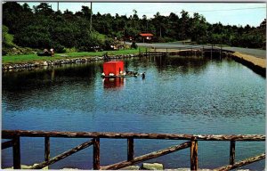 Postcard WATER SCENE St. John New Brunswick NB AK9352