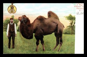 1906 Shriner Holy Moses Camel Roger Williams Park Providence RI Postcard 262 