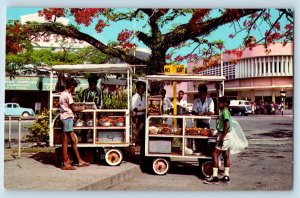 Suva Fiji Postcard Sweet Meat Vendors Under The Flamboyant Tree c1950's