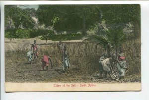 438990 British SOUTH Africa Tillers of Soil Semi-nude girls RPPC Transvaal stamp