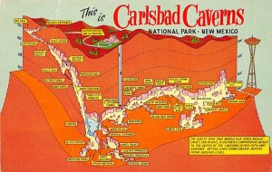 Carlsbad Caverns National Park New Mexico, USA Unused 