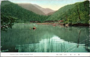 Japan Yuno-Ko Lake Nikko National Park Vintage Postcard C156