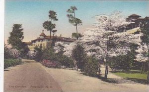 North Carolina Pinehurst The Carolina Albertype