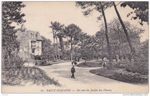 Un Coin Du Jardin Des Plantes, SAINT-NAZAIRE, France, 1900-1910s