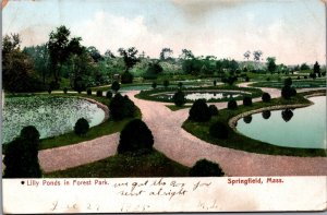 Lily Ponds In Forest Park Springfield Massachusetts Vintage Postcard C044