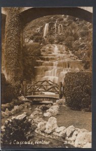 Isle of Wight Postcard - The Cascade, Ventnor   RS10889