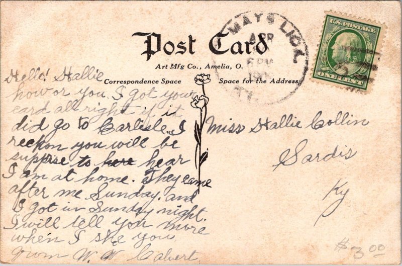 Henry Clay Walk, Lexington KY c1908 Vintage Postcard O29