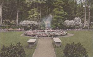 New York Lily Dale Lily Dale Assembly Albertype