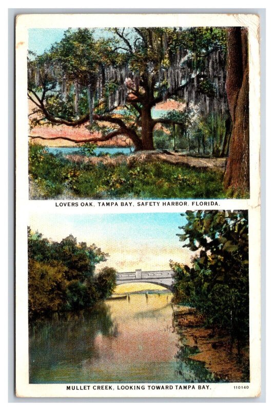 Dual View Lovers Oak Mullett Creek Tampa Bay Florida FL WB Postcard Y9