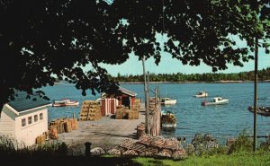 Postcard Lobster Wharf Typical of Those Found Along Maine Coast Friendship Maine