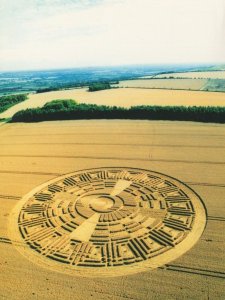 180 Foot Wheat Crop Circle Waylands Smithy Wiltshire Postcard