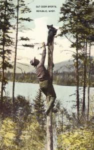 Postcard Bear Cub Trapped In Tree Man Rescuing Baby Bear Republic Washington B09