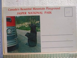 Postcard Folder Gardens, Jasper National Park, Jasper, Canada 