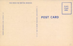 Lower Main Street Windham Catskill Mountains New York linen postcard