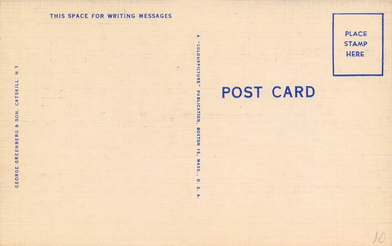 Lower Main Street Windham Catskill Mountains New York linen postcard