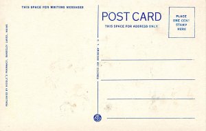 ME - Rangeley. Along the Board Walk, Rangeley Lake