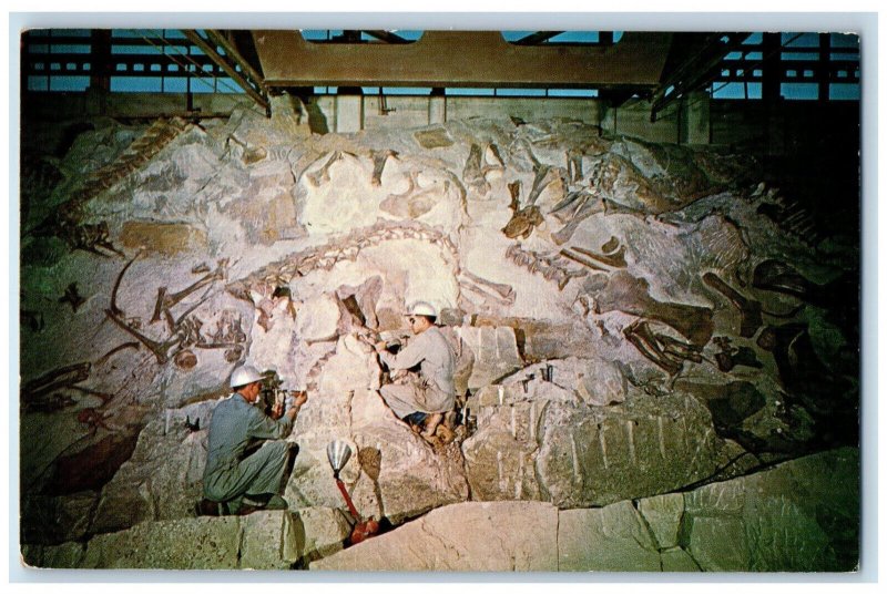 1964 Reliefing Fossil Dinosaur Bone Dinosaur National Monument NE UT Postcard 