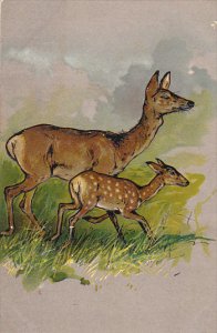 PFB Serie 3896 Deer and Fawn