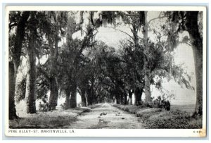 c1930's View Of Pine And Oak Alley St. Martinville Louisiana LA Vintage Postcard