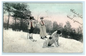 1907 Denmark Couple Skiing Dog Glitter Handpainted Arborvitae Wisconsin Postcard 