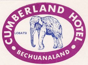 Bechuanaland Lobatsi Cumberland Purple Elephant Vintage Luggage Label sk3242