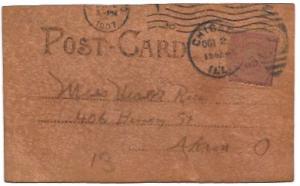 Leather Post Card.  Riverview Park, Chicago, IL, USA. Mailed in 1907