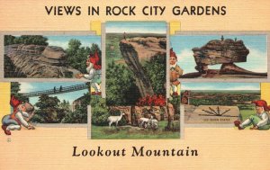 Vintage Postcard Rock City Gardens Lookout Mountain Beautiful Nature GA