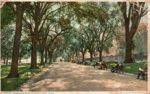 Vintage Postcard 1909 Beacon Street Road Mall Park Boston Massachusetts MA